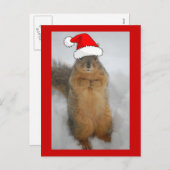 Weihnachtsscheißchen Feiertagspostkarte (Vorne/Hinten)