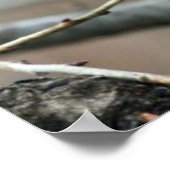 Weihnachtsscheißchen Poster (Ecke)