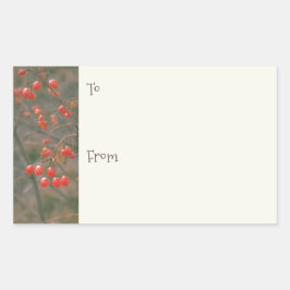 Weihnachtsschilder von Red Berries Rechteckiger Aufkleber