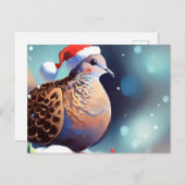 Weihnachtsschildkröte 2 feiertagspostkarte (Vorne/Hinten)