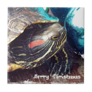 Weihnachtsschildkröte Fliese