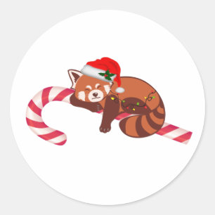 Weihnachtsschlafen Rote Panda Sticker