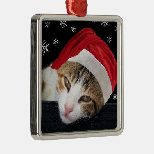 Weihnachtsschmuck (Rechts)