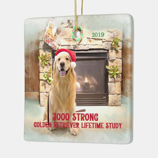 Weihnachtsschmuck 2019 - 3000 Strong (Links)