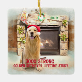 Weihnachtsschmuck 2019 - 3000 Strong