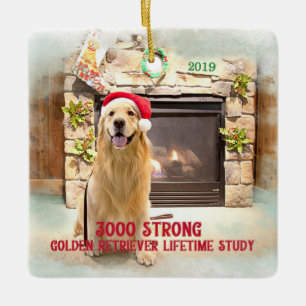 Weihnachtsschmuck 2019 - 3000 Strong