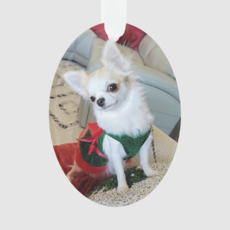 Weihnachtsschmuck 2024 ornament