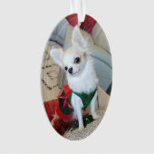 Weihnachtsschmuck 2024 ornament (Vorderseite)