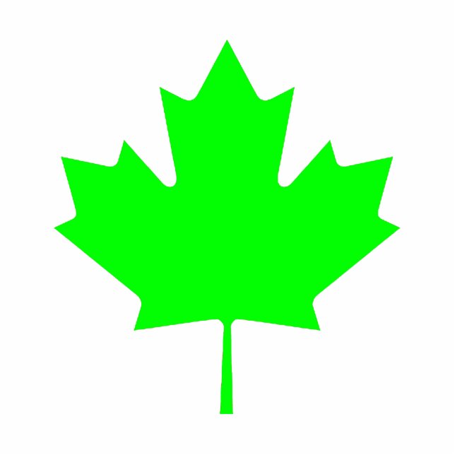 Weihnachtsschmuck Ahornleaf Grünes Licht Fotoskulptur Ornament (Vorne)