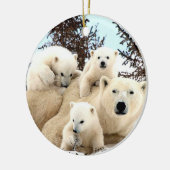 Weihnachtsschmuck - Eisbären (Links)