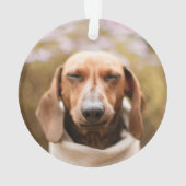Weihnachtsschmuck Foto Hunde Furry & Bright Ornament (Rückseite)