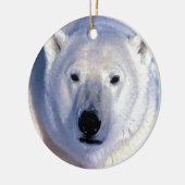 Weihnachtsschmuck für Polar Bären (Links)