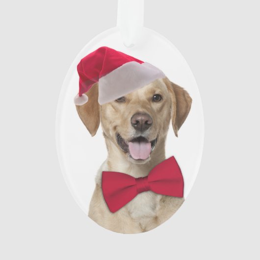 Weihnachtsschmuck im Labrador Ornament (Rückseite)