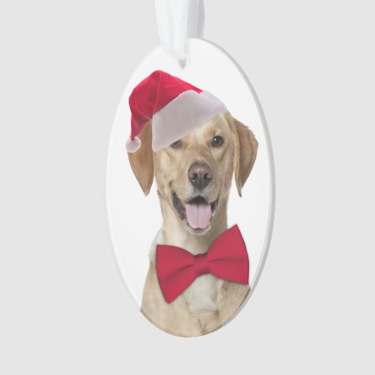 Weihnachtsschmuck im Labrador Ornament (Vorderseite)