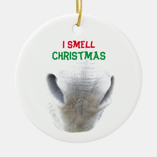 Weihnachtsschmuck mit Eselnase (Vorne)