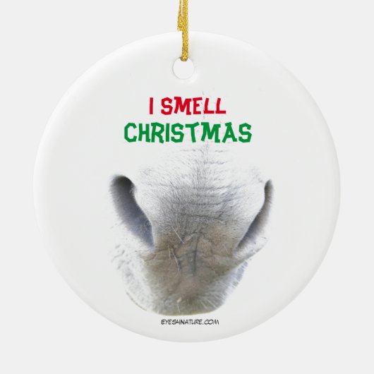 Weihnachtsschmuck mit Eselnase (Hinten)