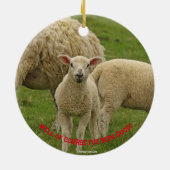 Weihnachtsschmuck mit Lamm (Hinten)