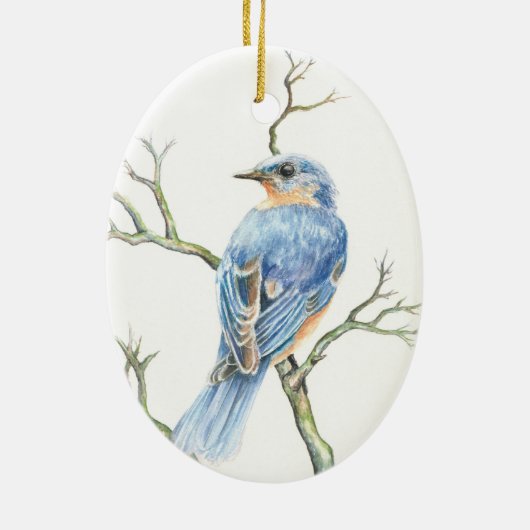 Weihnachtsschmuck mit Robin auf einem Zweig (Hinten)