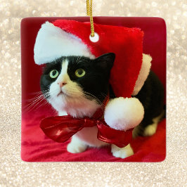 Weihnachtsschmuck Pfirsiche der Tuxedo Katze