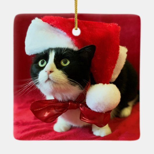 Weihnachtsschmuck Pfirsiche der Tuxedo Katze (Rückseite)