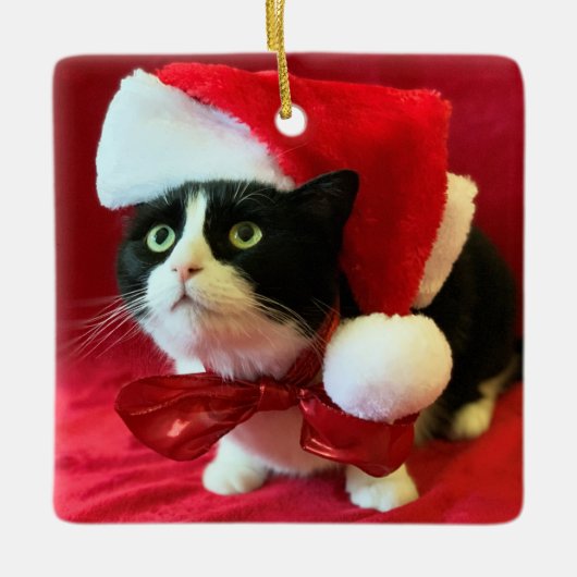 Weihnachtsschmuck Pfirsiche der Tuxedo Katze (Vorderseite)