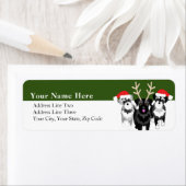 Weihnachtsschnauzer in Weihnachtsmannmützen (Insitu)