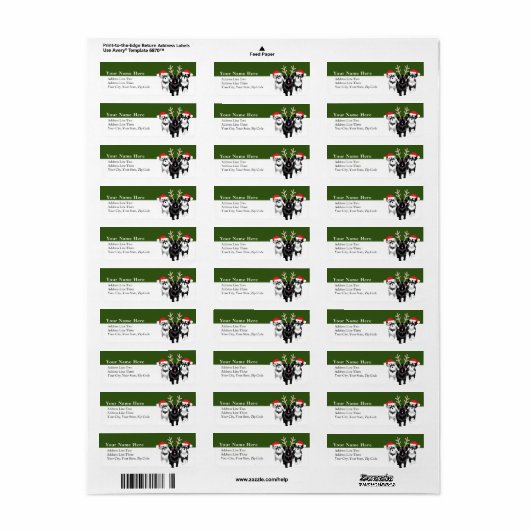 Weihnachtsschnauzer in Weihnachtsmannmützen (Vorne)