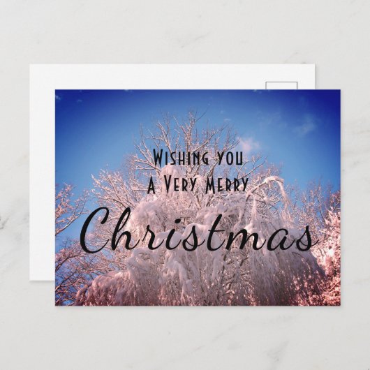 Weihnachtsschnee Bäume ! Postkarte (Vorne/Hinten)