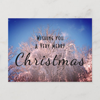 Weihnachtsschnee Bäume ! Postkarte