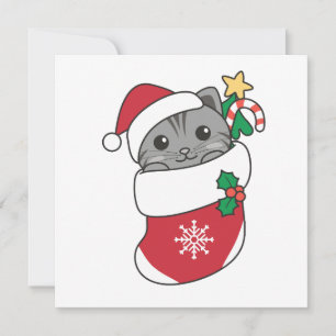Weihnachtsschnee Wintertiere Katzen Urlaubswagen Feiertagskarte