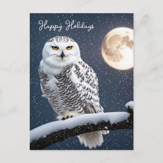 Weihnachtsschneeauschale in Schneeflocken Feiertagspostkarte (Vorderseite)