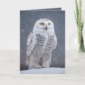 Weihnachtsschneeauwl Feiertagskarte (Vorderseite)
