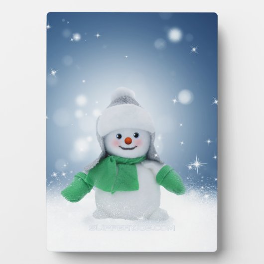 Weihnachtsschneemann SlipperyJoe grüner Schal m Fotoplatte (Vorderseite)