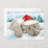 Weihnachtsschokolade Labradoodle Feiertagspostkarte (Vorne/Hinten)