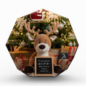 Weihnachtsschwangerschaft Ankündigung niedlicher R Fotoblock (Vorderseite)