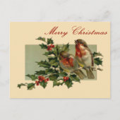 Weihnachtsschwangvögel und Holly Postcard Feiertagspostkarte (Vorderseite)