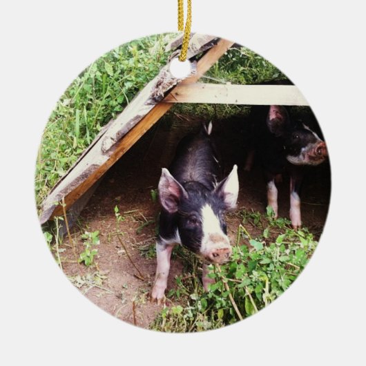 Weihnachtsschwein-Verzierung Keramik Ornament (Vorne)
