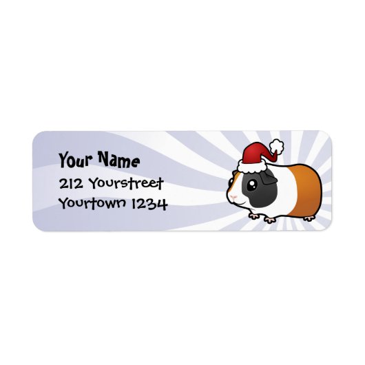 Weihnachtsschweine (glatte Guinea) (Vorne)
