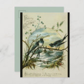 Weihnachtsschwule Vögel Postkarte (Vorne/Hinten)