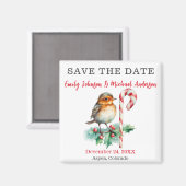 Weihnachtssehen retten das Datum Magnet (Vorderseite/Rückseite)