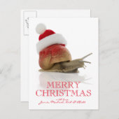 Weihnachtssnail Feiertagspostkarte (Vorne/Hinten)