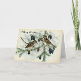 Weihnachtsspatzen am feiertagskarte