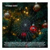 Weihnachtsspinne Poster (Vorderseite)