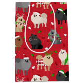 WeihnachtsSpitze Mittlere Geschenktüte (Vorderseite)