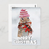 Weihnachtssplitter Postkarte (Vorne/Hinten)