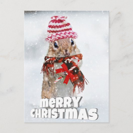 Weihnachtssplitter Postkarte (Vorderseite)