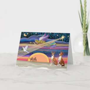 Weihnachtsstar - Basenjis (zwei) Feiertagskarte