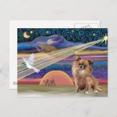 Weihnachtsstar - Chihuahua () Feiertagspostkarte (Vorne/Hinten)