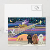 Weihnachtsstar - Poodles (drei Spielzeug) - Feiertagspostkarte (Vorne/Hinten)