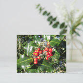 Weihnachtsstechpalmen-Beeren auf Stechpalme Feiertagspostkarte (Stehend Vorderseite)